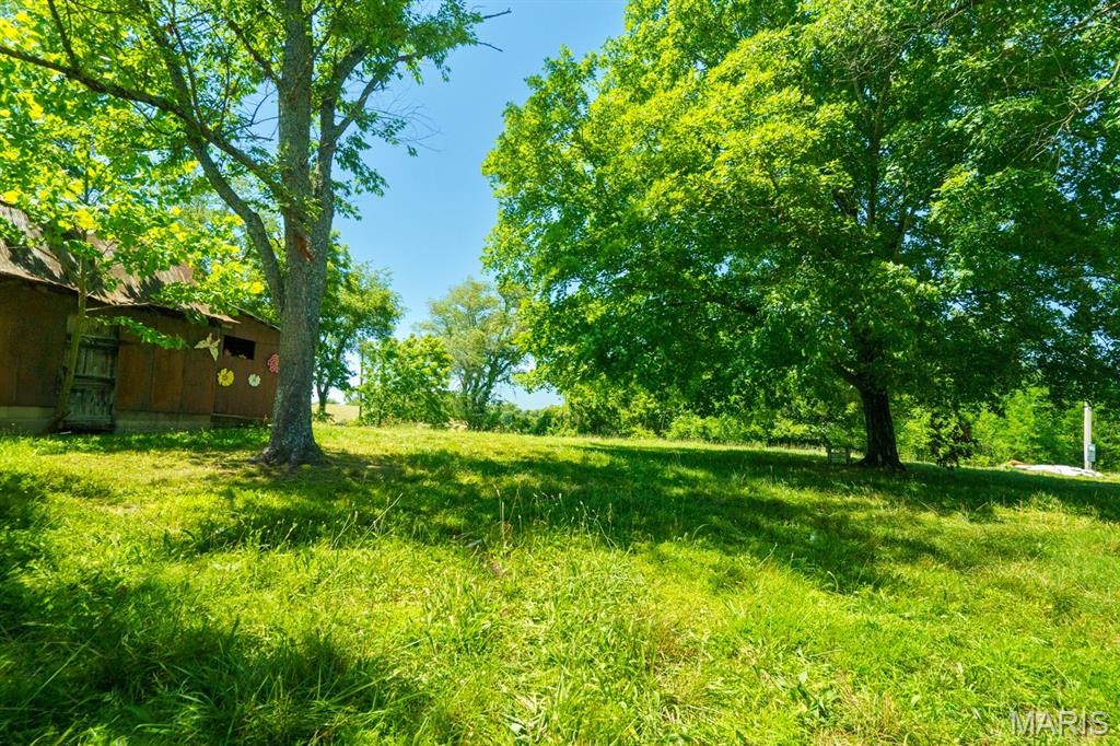 68 Dillard Mill Road Davisville, MO 65456 - Photo 50 of 64