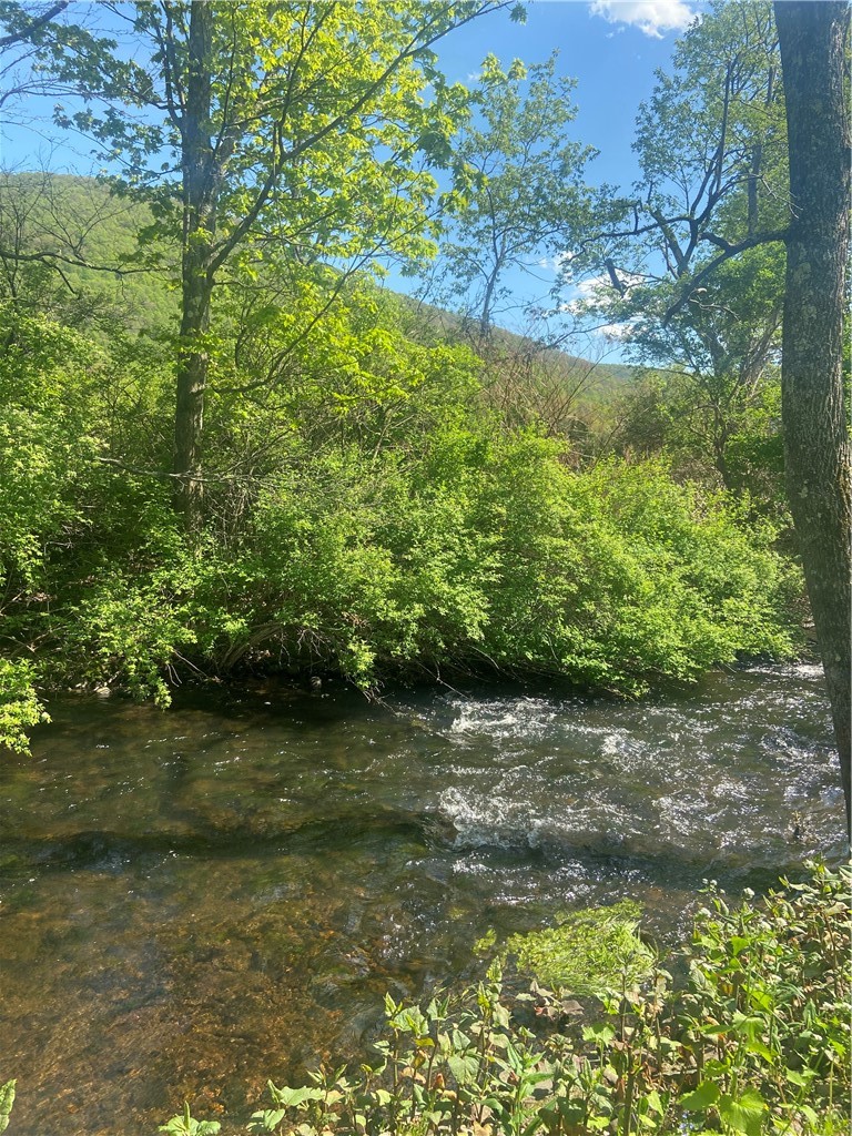 100 Hubbells Corner Road Roxbury, NY 12474 - Photo 2 of 31 Cool, clear water...