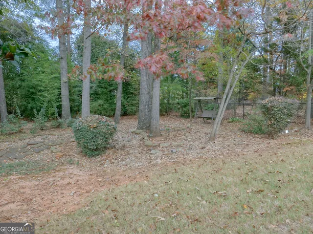a view of a forest with trees