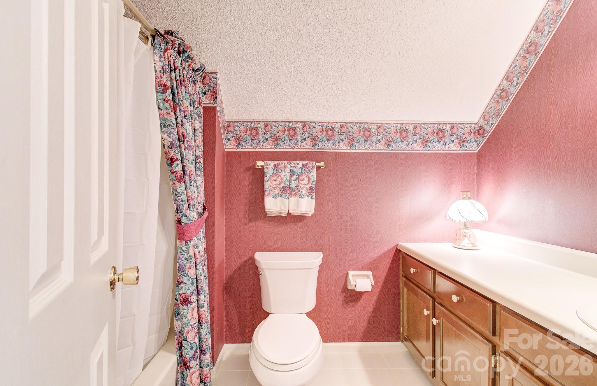 456 Mills Gap Road Arden, NC 28704 - Photo 20 of 43 a bathroom with a sink a toilet and shower curtain