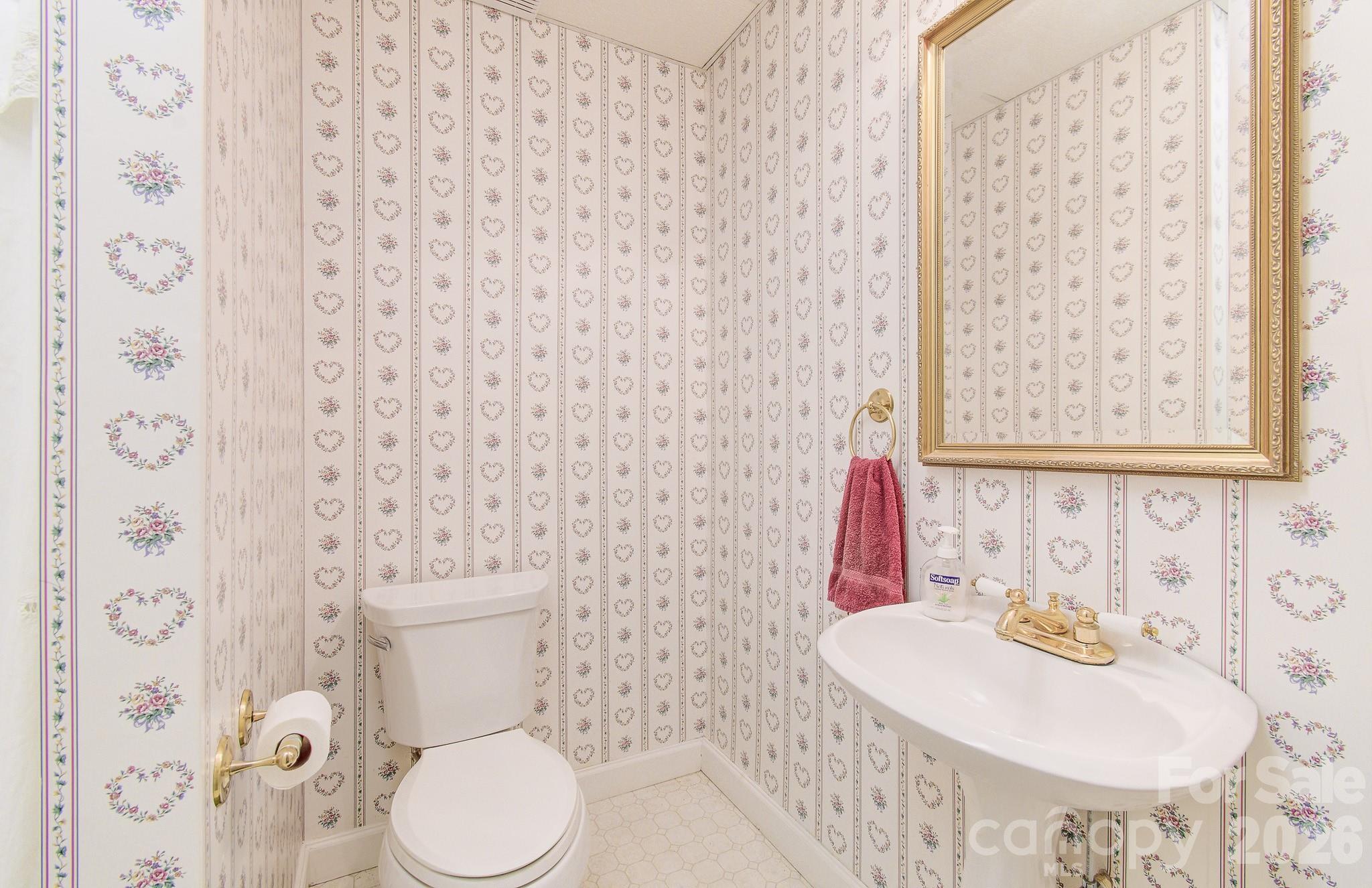 456 Mills Gap Road Arden, NC 28704 - Photo 32 of 43 a bathroom with a sink and a mirror