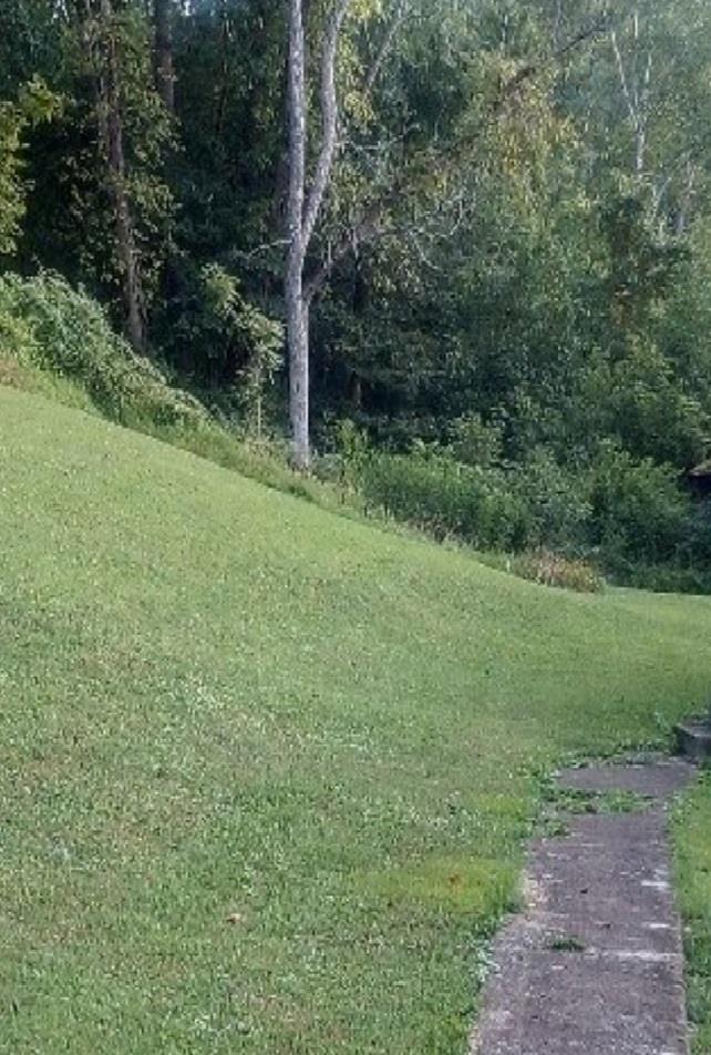 5849 Madison Creek Road Salt Rock, WV 25559 - Photo 15 of 18 Gallery Image 15