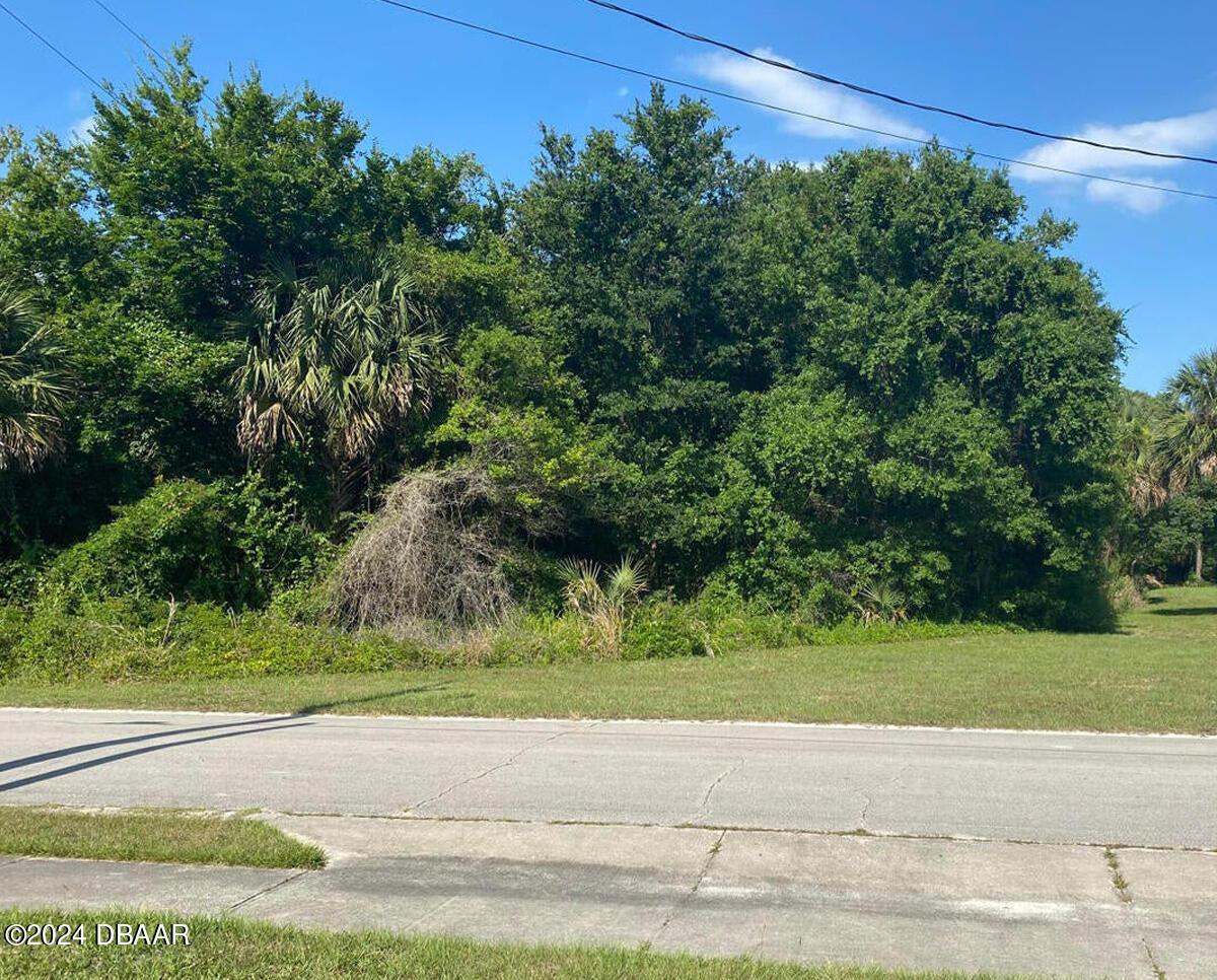 269 Flamingo Road Oak Hill, FL 32759 - Photo 1 of 3 20230210175723067535000000-o
