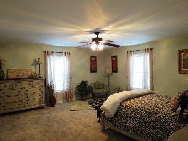 451 Campbell Road Ridgeville, SC 29472 - Photo 13 of 29 451mstbed1