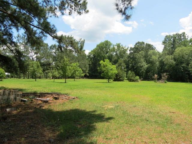 451 Campbell Road Ridgeville, SC 29472 - Photo 23 of 29 451 back of property