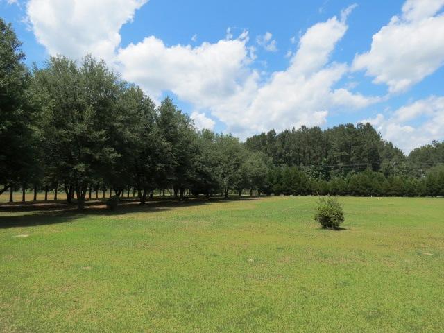 451 Campbell Road Ridgeville, SC 29472 - Photo 24 of 29 451 view from front 2
