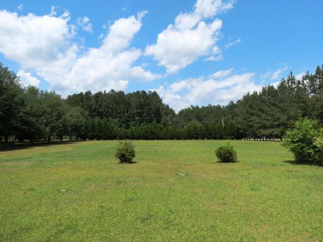451 Campbell Road Ridgeville, SC 29472 - Photo 25 of 29 451 view from front