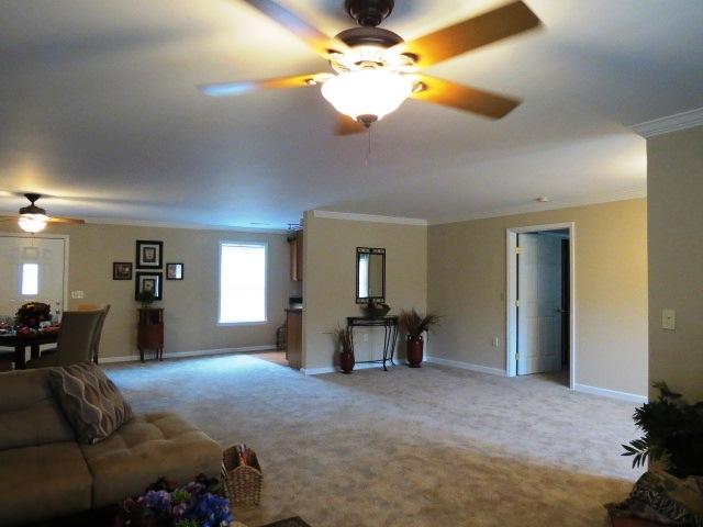 451 Campbell Road Ridgeville, SC 29472 - Photo 7 of 29 451livingview