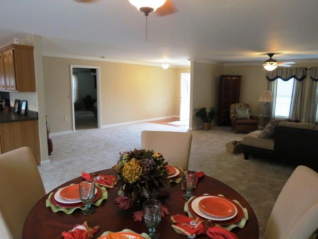 451 Campbell Road Ridgeville, SC 29472 - Photo 9 of 29 451viewfromdining