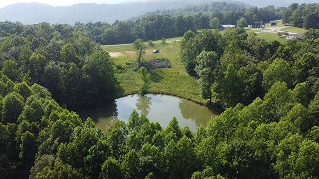 1216 Spring Road Wallingford, KY 41093 - Photo 10 of 20 2025-06-03-16-59-25-991