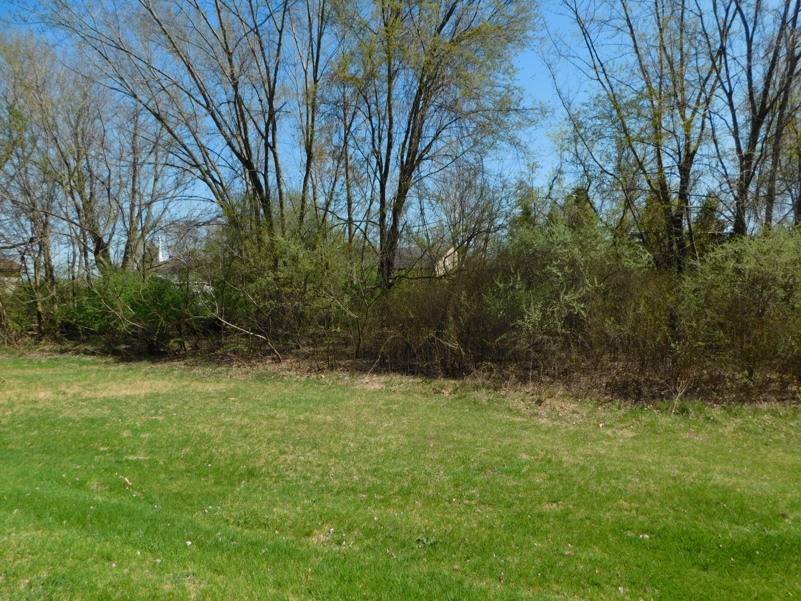 3528 South Pipestone Road Sodus, MI 49126 - Photo 41 of 42 DSCN7347