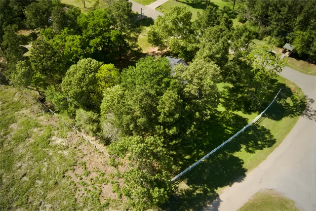 a view of a garden with plants