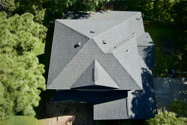 a view of a yard with plants and trees