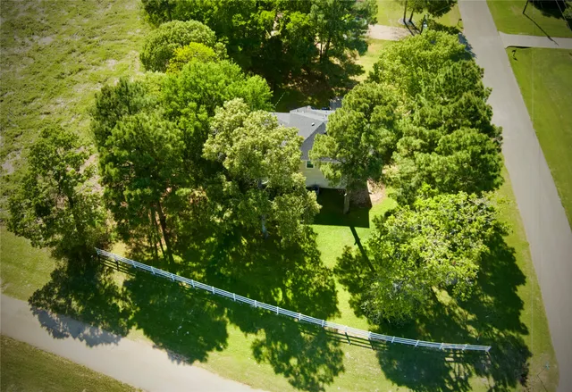a view of a yard with plants