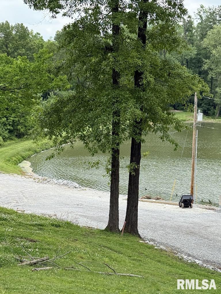 285 Twin Springs Loop Anna, IL 62906 - Photo 10 of 26