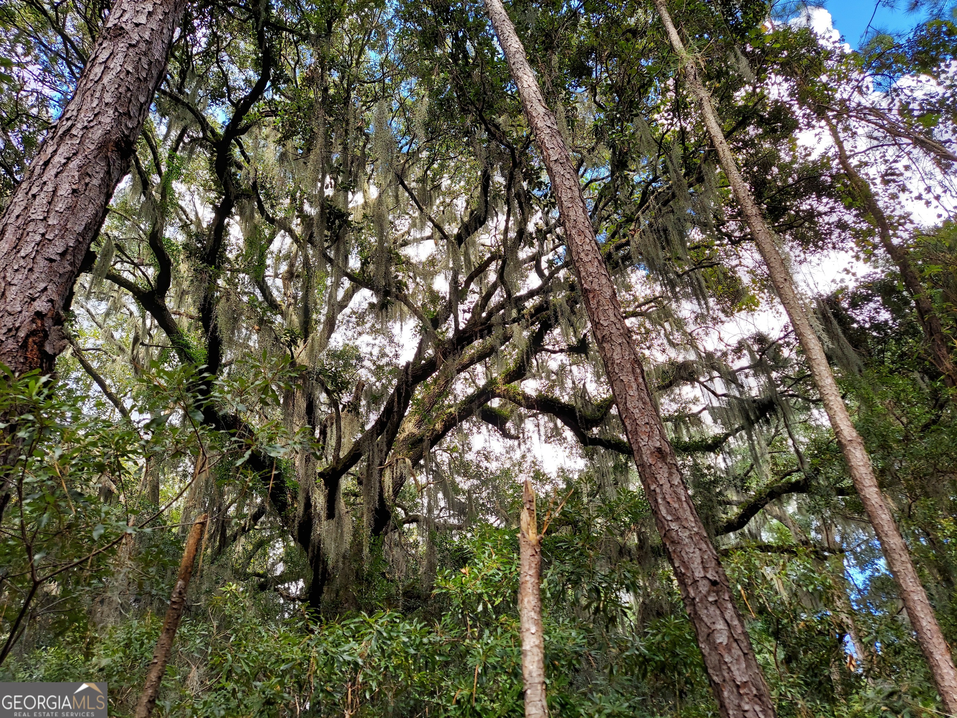 181 Burton Road Savannah, GA 31405 - Photo 16 of 18