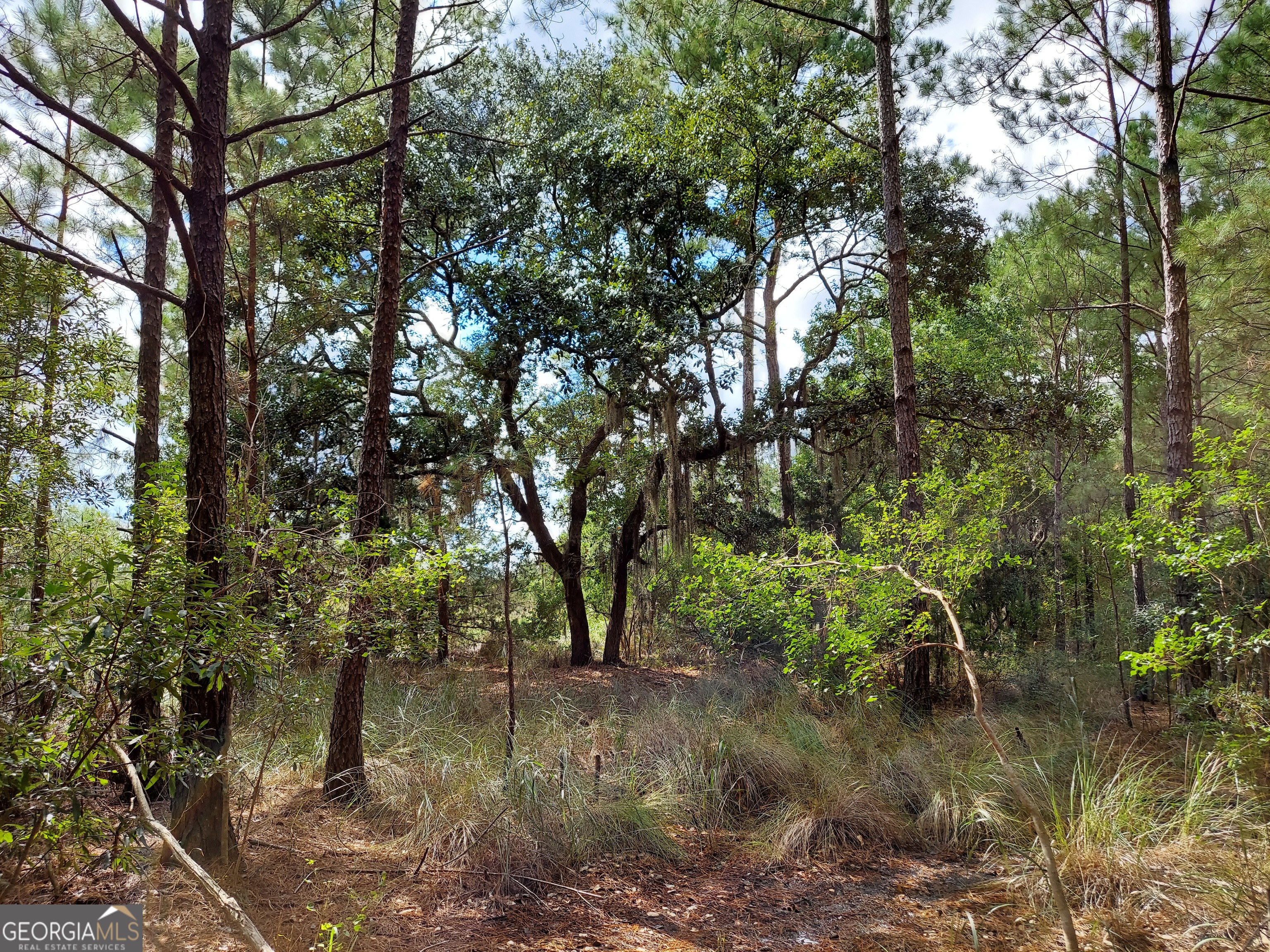 181 Burton Road Savannah, GA 31405 - Photo 18 of 18 a backyard of a house with lots of green space