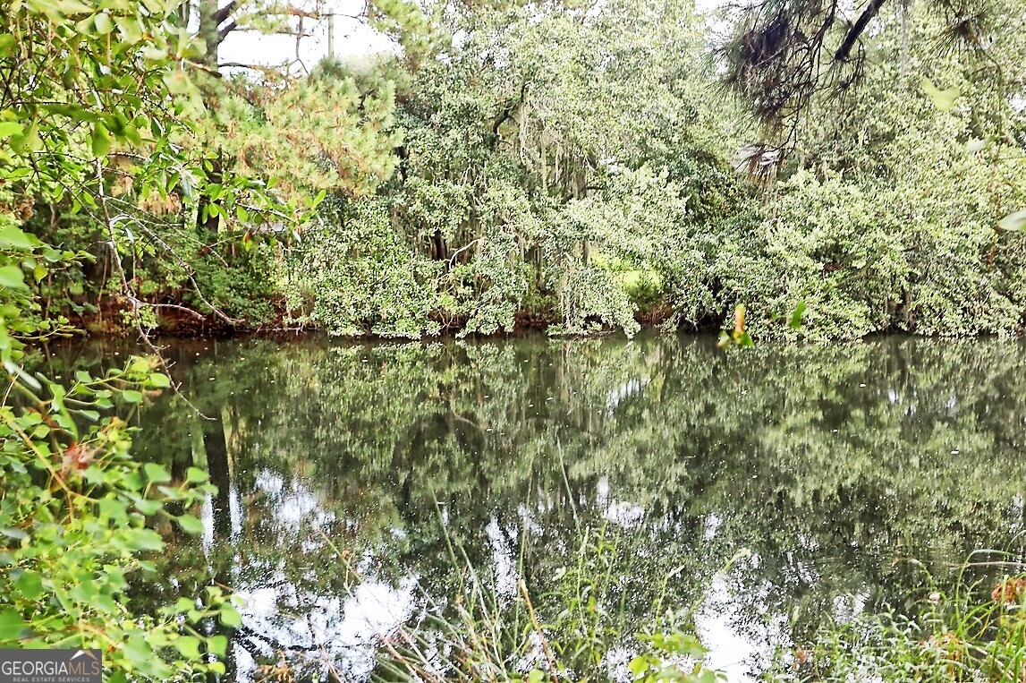 181 Burton Road Savannah, GA 31405 - Photo 2 of 18 a view of a yard with a tree