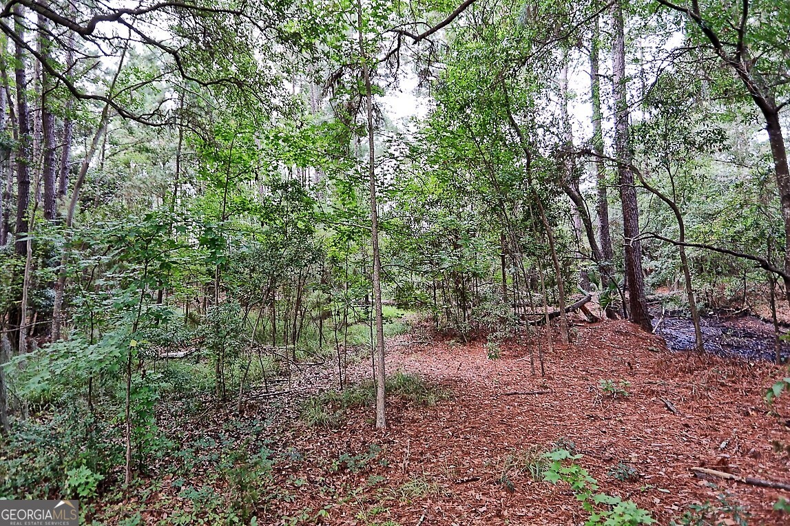 181 Burton Road Savannah, GA 31405 - Photo 10 of 18 a backyard of a house with lots of green space
