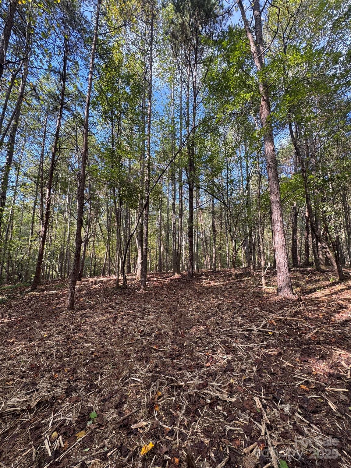 0 Coolbrook Road, Unit 5 Union Grove, NC 28689 - Photo 14 of 15