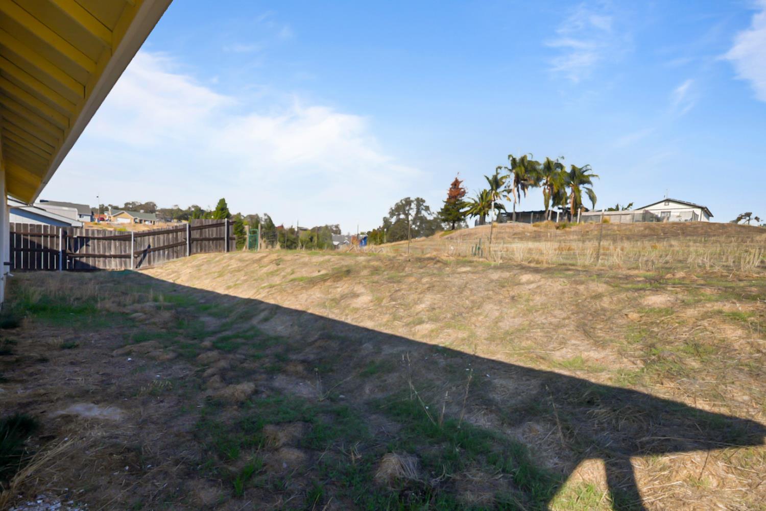 3493 Quail Hill Road Copperopolis, CA 95228 - Photo 30 of 38 a view of a yard