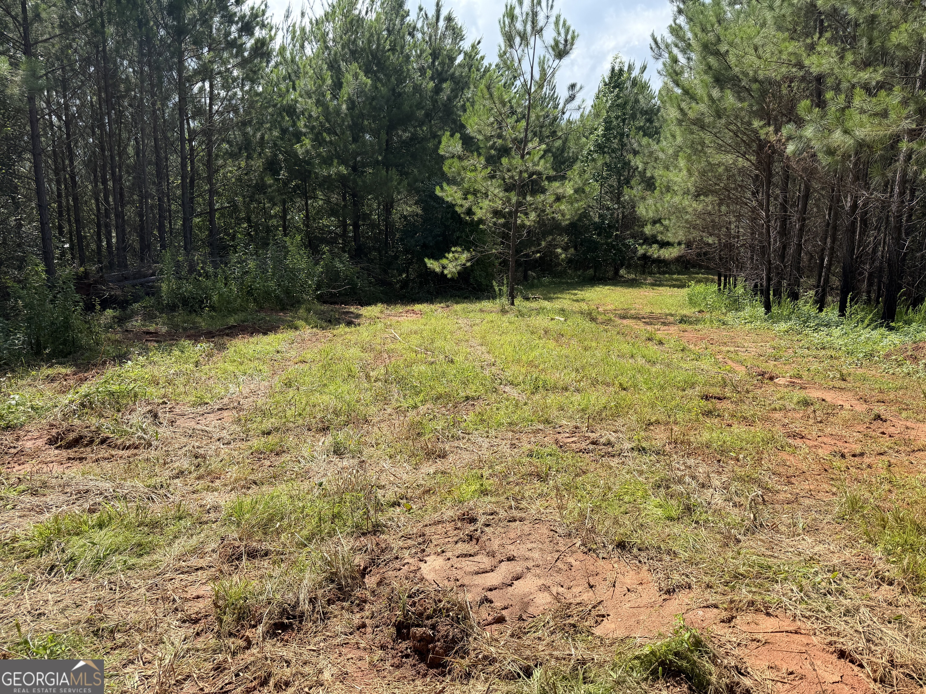 0 Bevis Road Franklin, GA 30217 - Photo 29 of 36