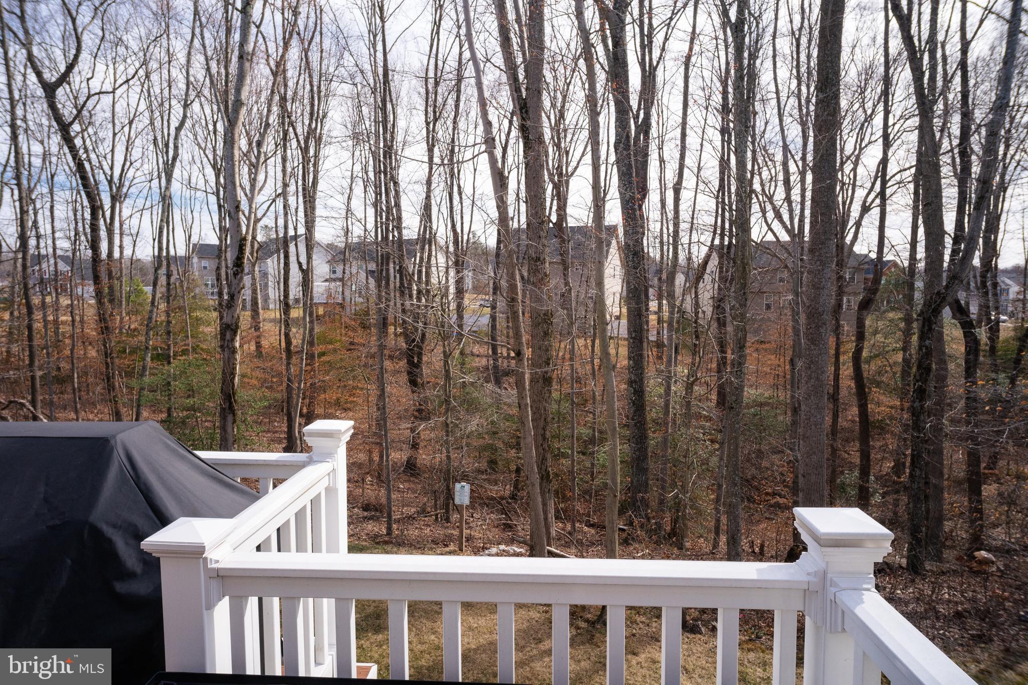3413 St Marys View Road Accokeek, MD 20607 - Photo 53 of 65 Gallery Image 53