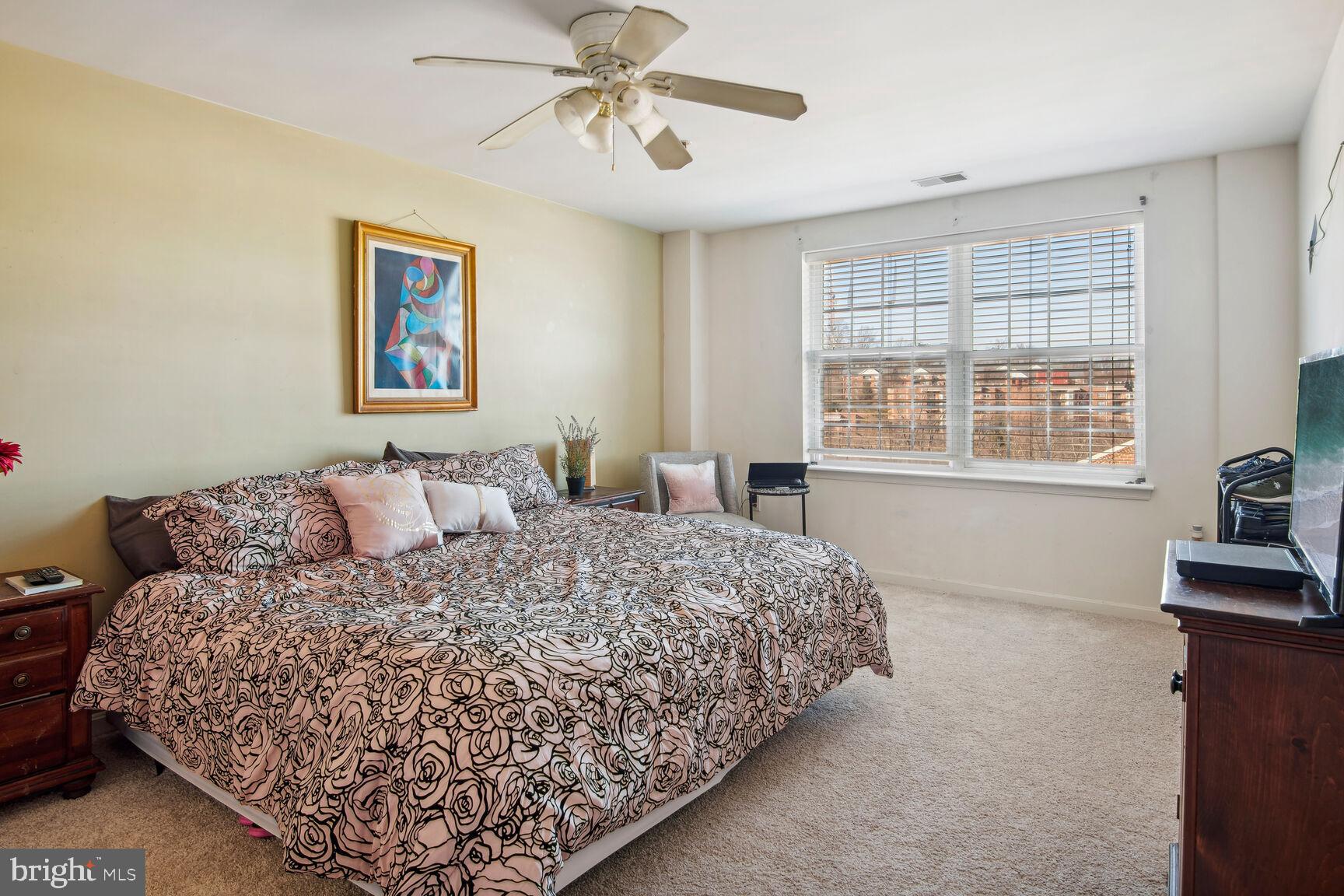 9500 Sidebrook Road, Unit 507 Owings Mills, MD 21117 - Photo 10 of 16