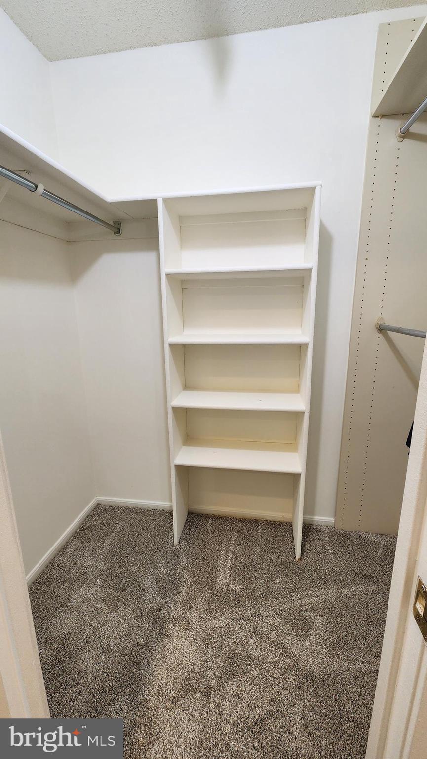 15115 Interlachen Drive, Unit 3801 Silver Spring, MD 20906 - Photo 19 of 54 Primary WI CIloset