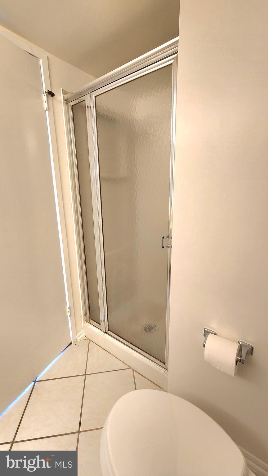 15115 Interlachen Drive, Unit 3801 Silver Spring, MD 20906 - Photo 22 of 54 2nd BA shower stall