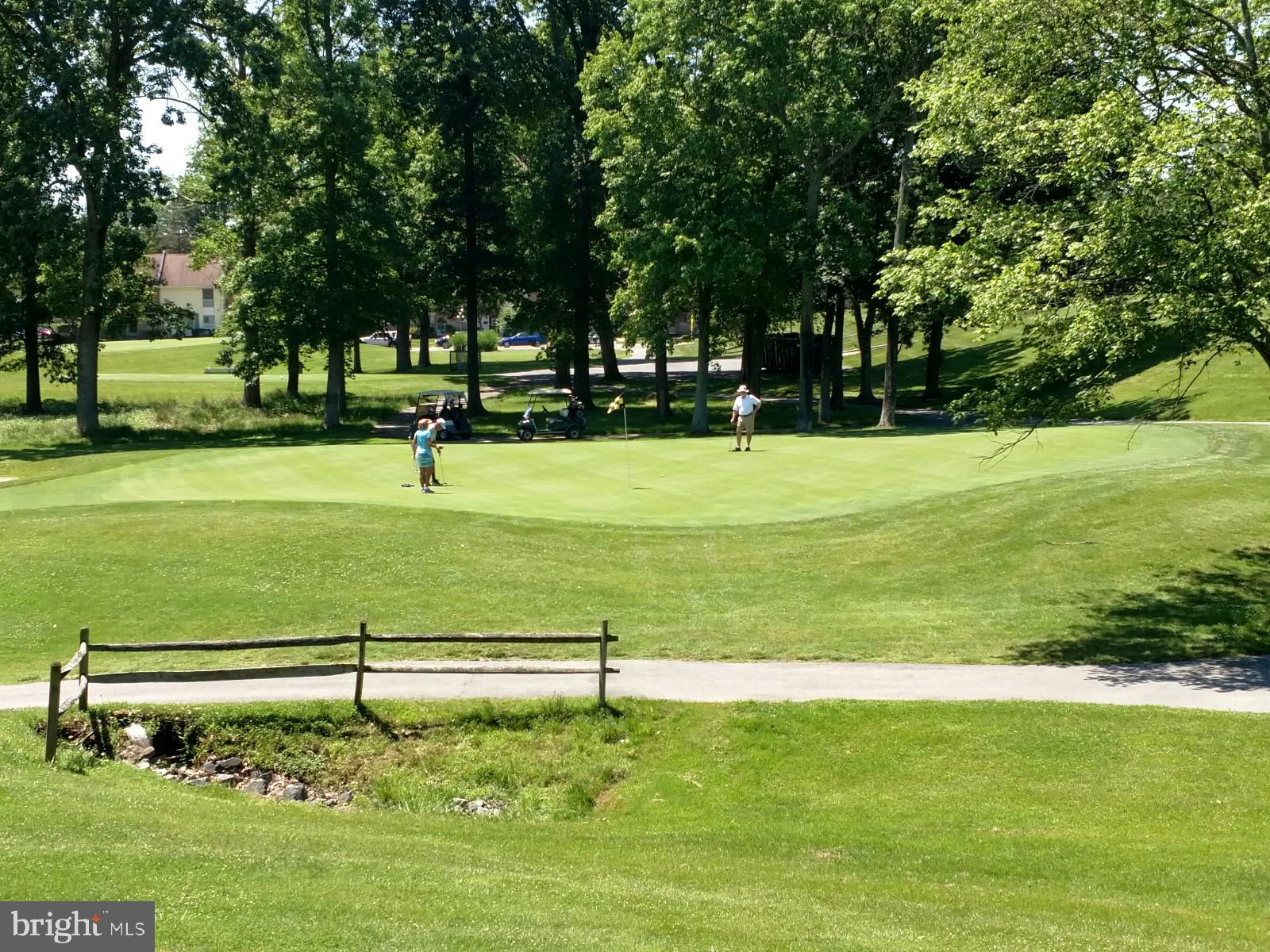15115 Interlachen Drive, Unit 3801 Silver Spring, MD 20906 - Photo 33 of 54 Golf Green