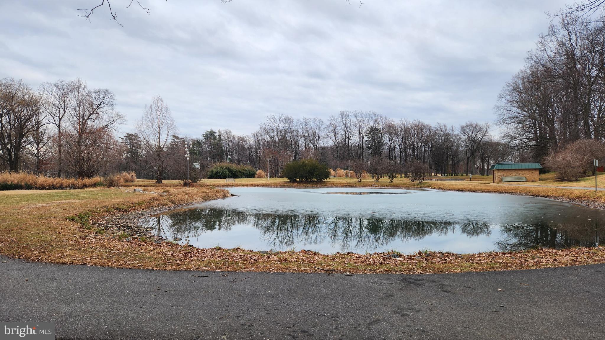 15115 Interlachen Drive, Unit 3801 Silver Spring, MD 20906 - Photo 34 of 54 Pond & Biird feeders