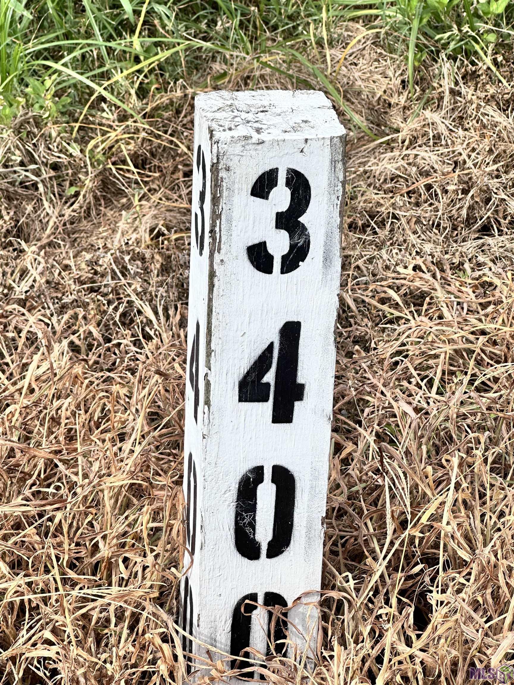 8286 Highway 44 Convent, LA 70723 - Photo 6 of 21