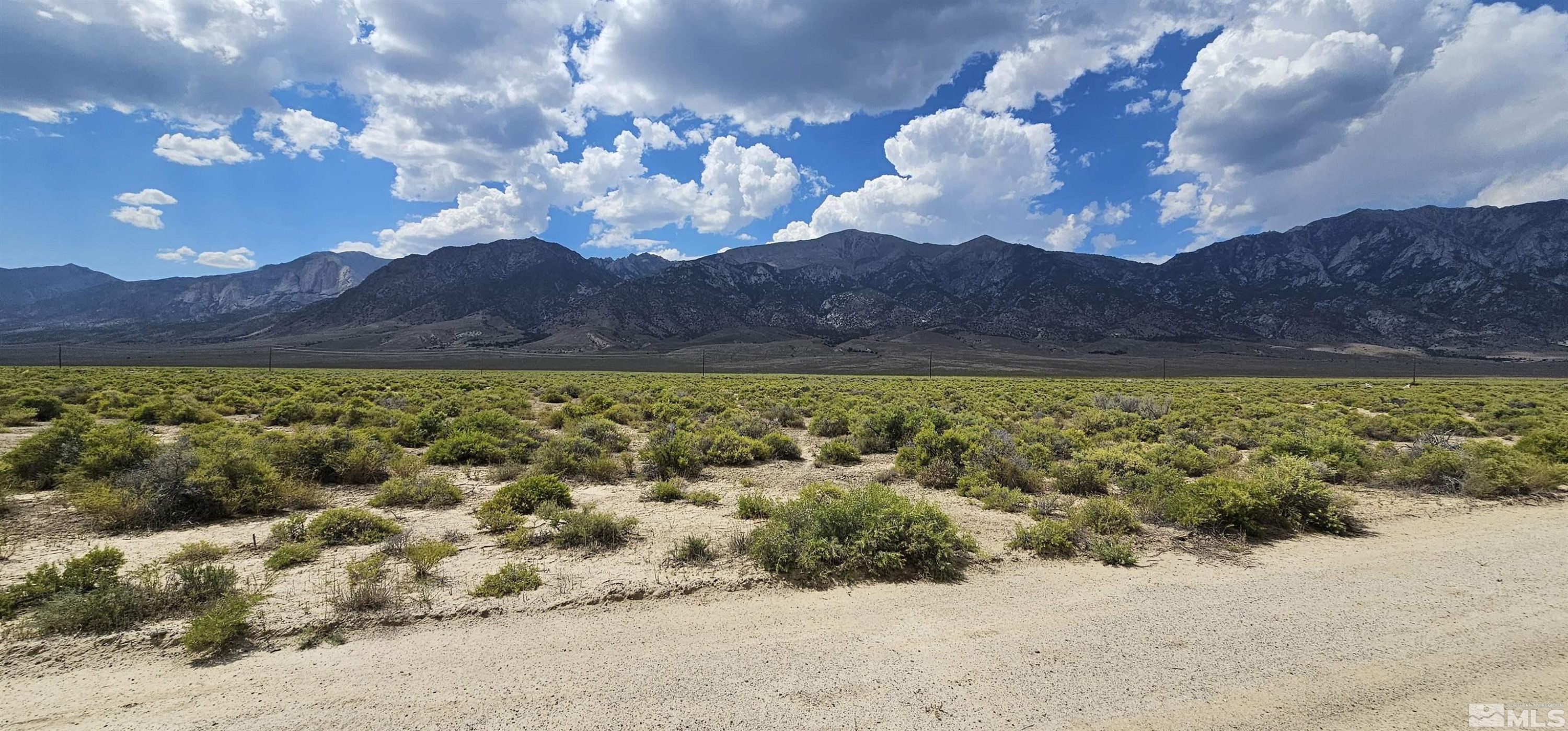 660 Gendron Road West Round Mountain, NV 89045 - Photo 11 of 13 Photo 11