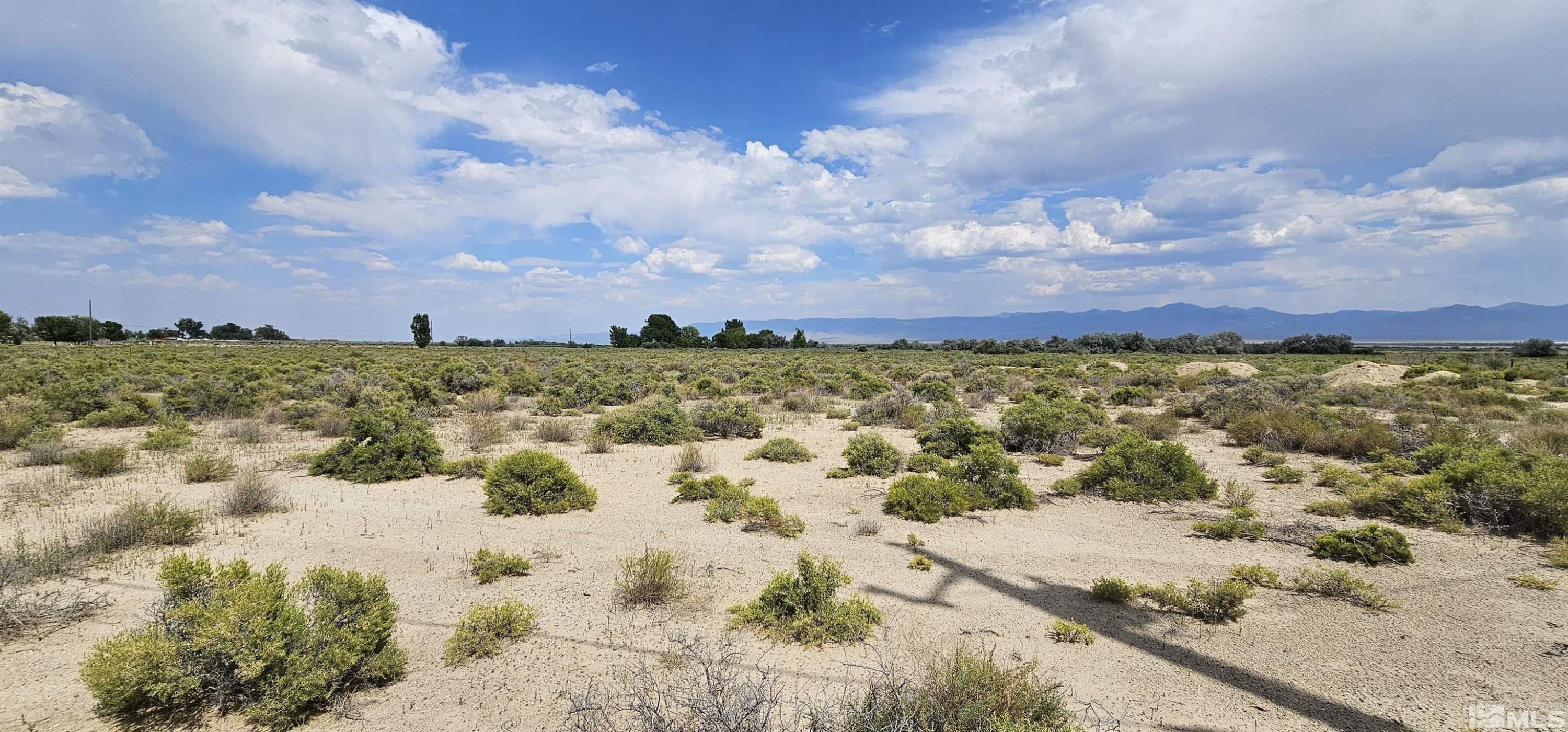 660 Gendron Road West Round Mountain, NV 89045 - Photo 5 of 13 Photo 5
