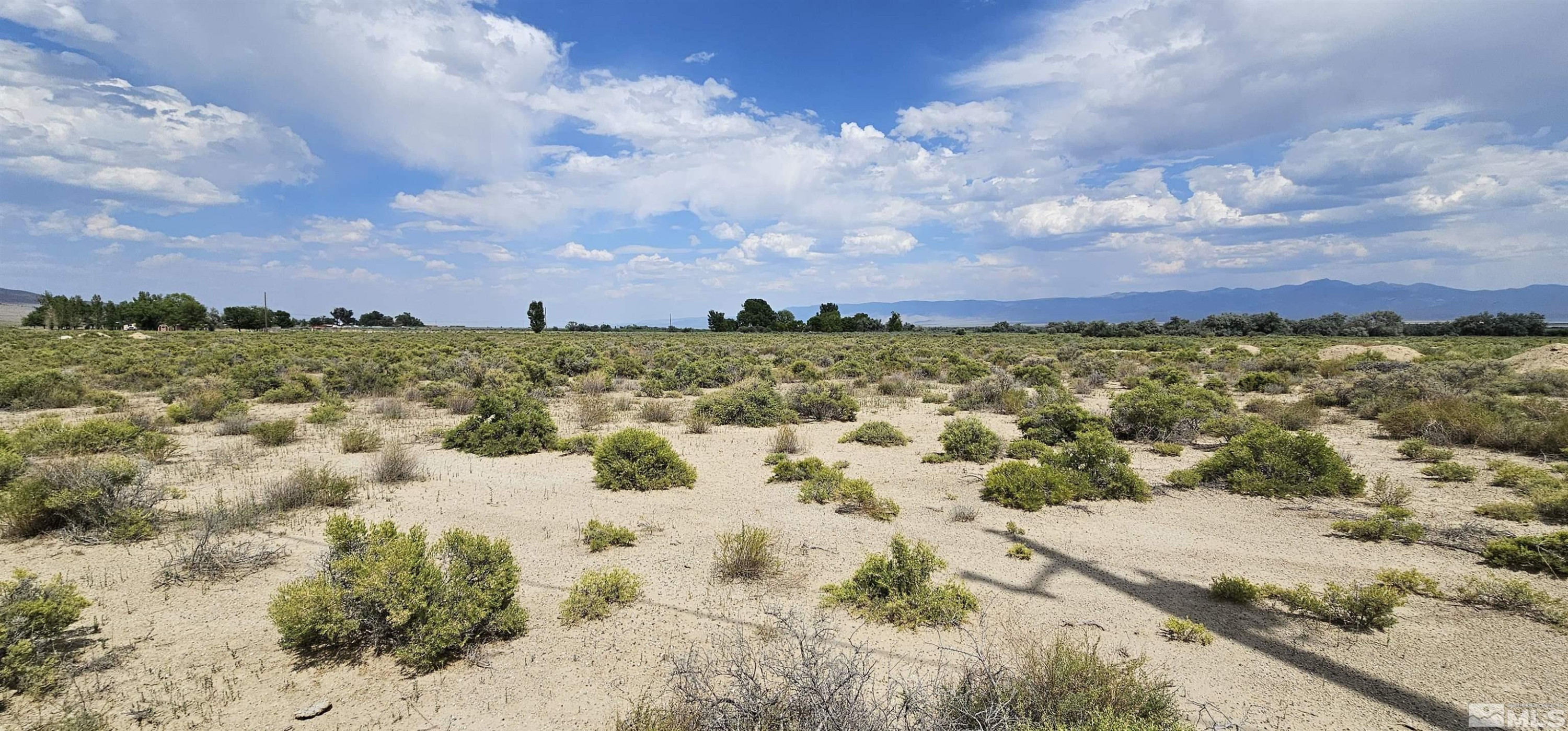 660 Gendron Road West Round Mountain, NV 89045 - Photo 6 of 13 Photo 6