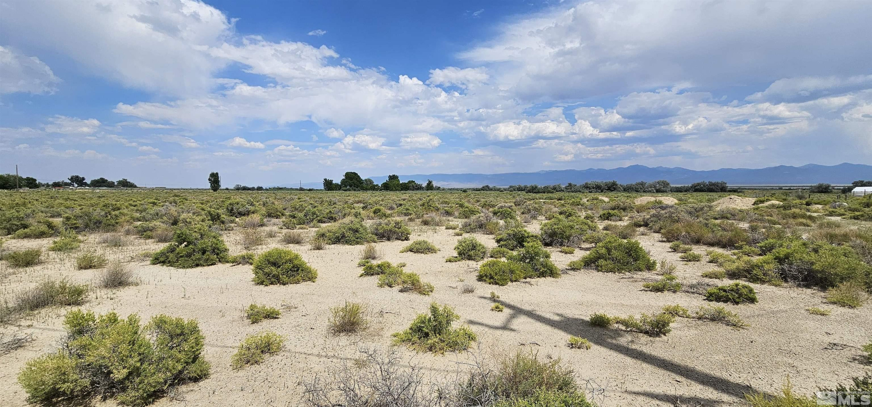 660 Gendron Road West Round Mountain, NV 89045 - Photo 7 of 13 Photo 7