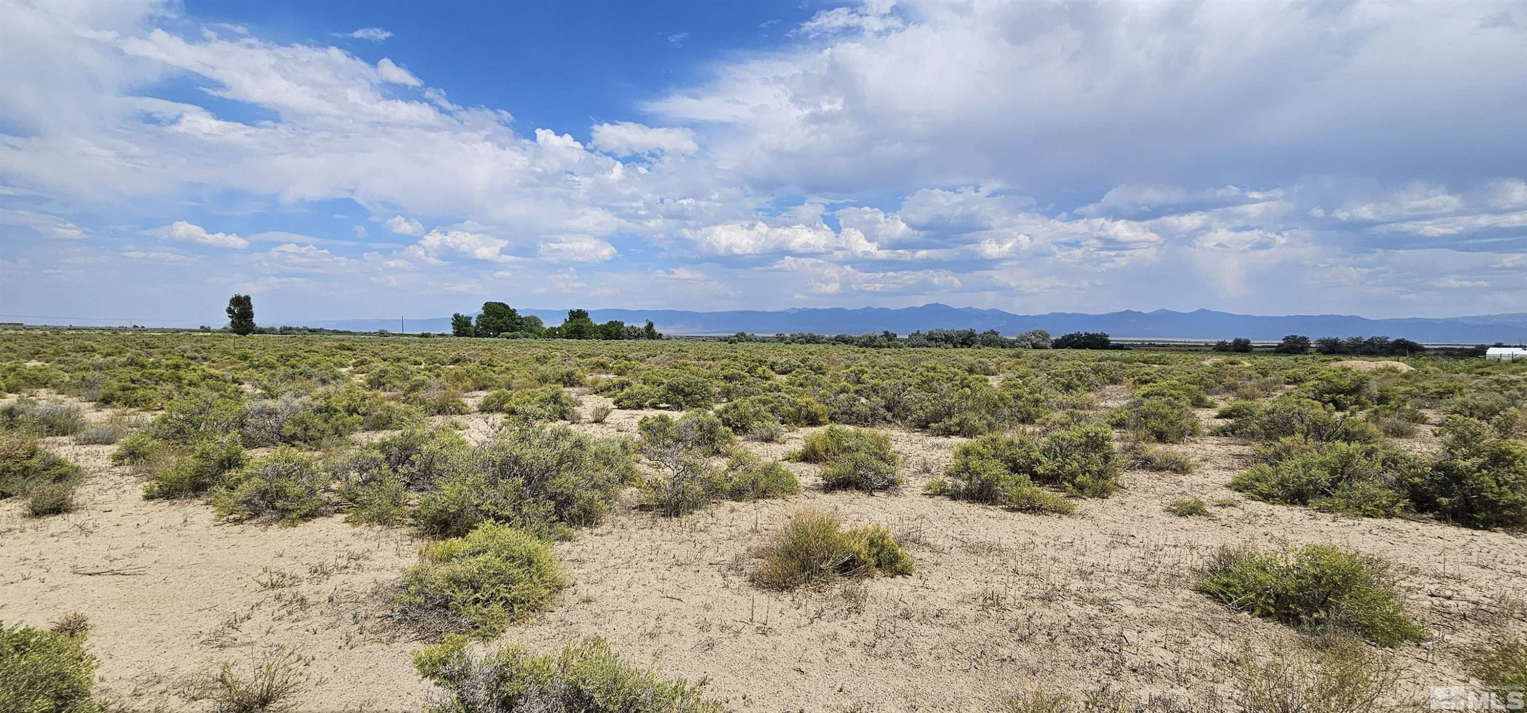 660 Gendron Road West Round Mountain, NV 89045 - Photo 8 of 13 Photo 8