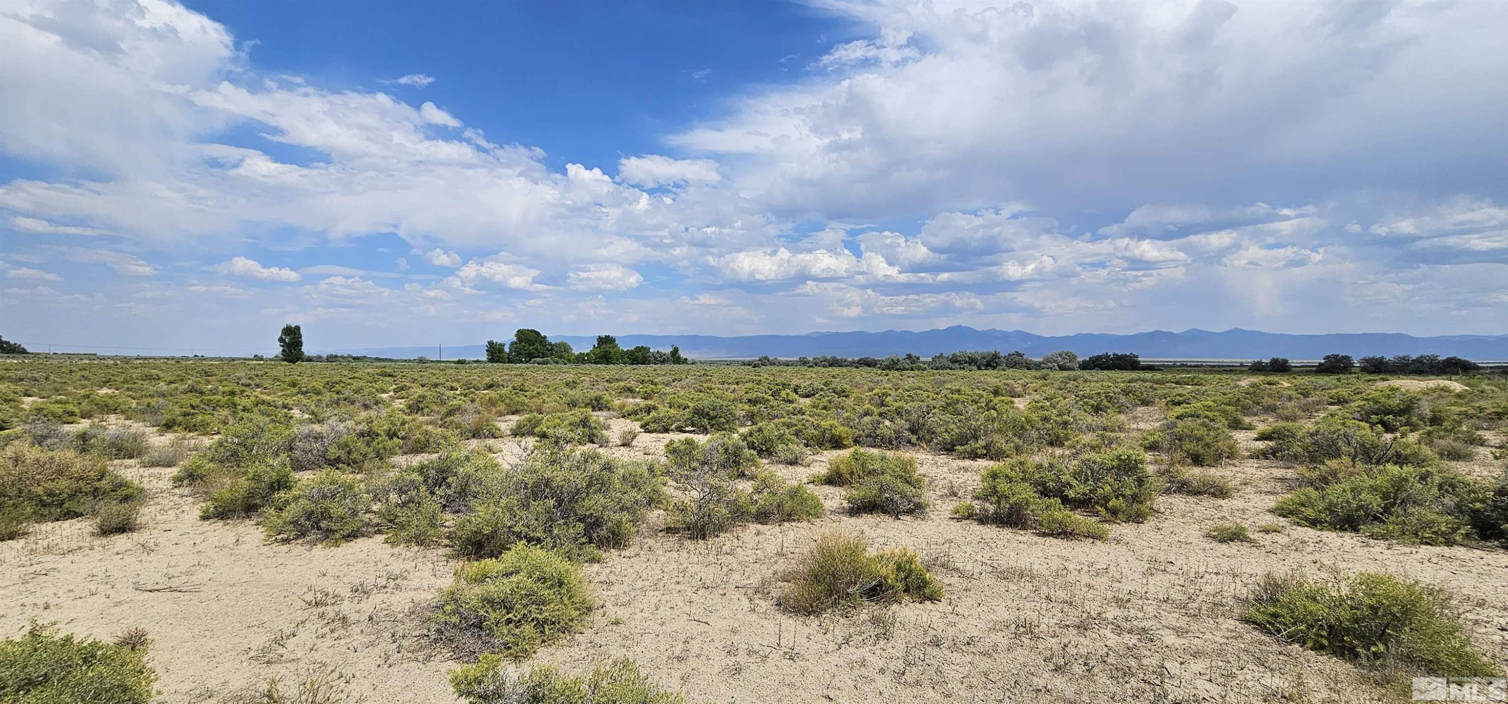 660 Gendron Road West Round Mountain, NV 89045 - Photo 9 of 13 Photo 9