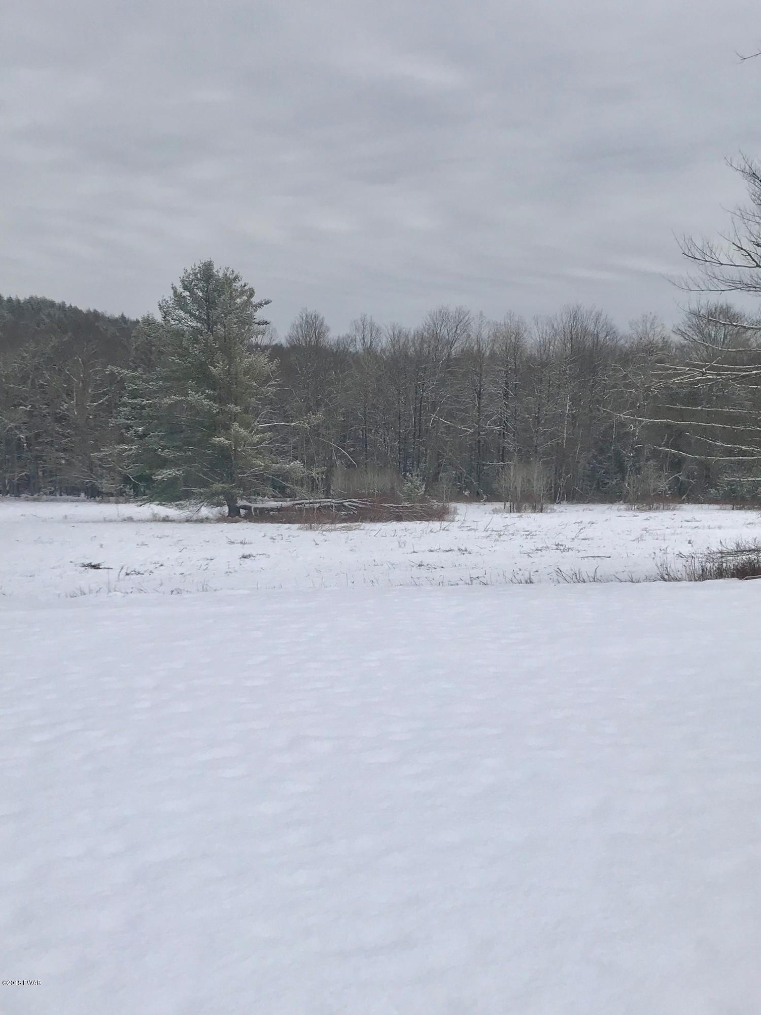 120 Atco Road Beach Lake, PA 18405 - Photo 23 of 25 View