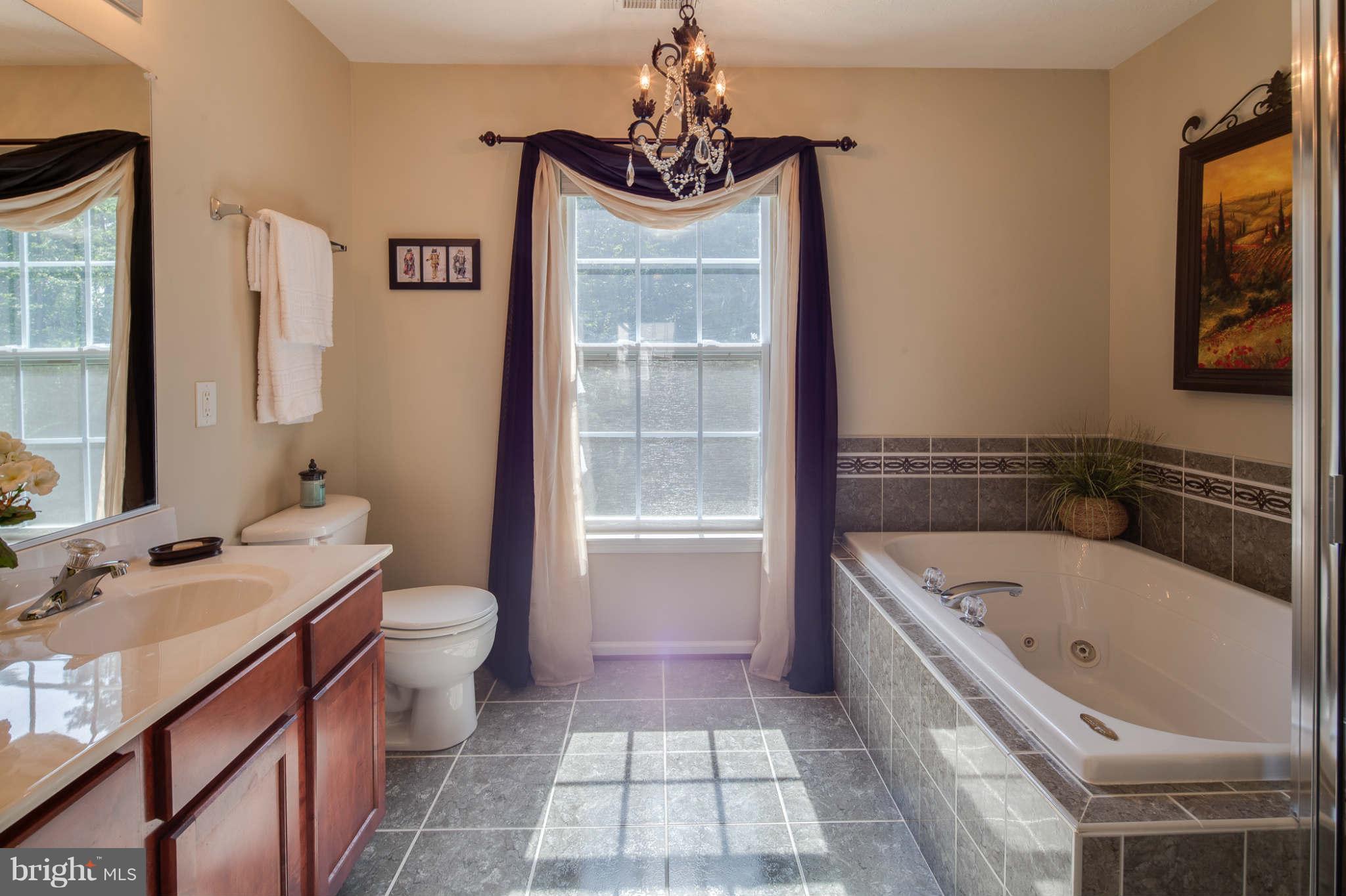 4629 Riddle Drive Baltimore, MD 21236 - Photo 15 of 27 Bath (Master)