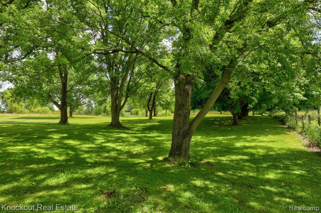 4585 Birch Run Road Millington, MI 48746 - Photo 43 of 59