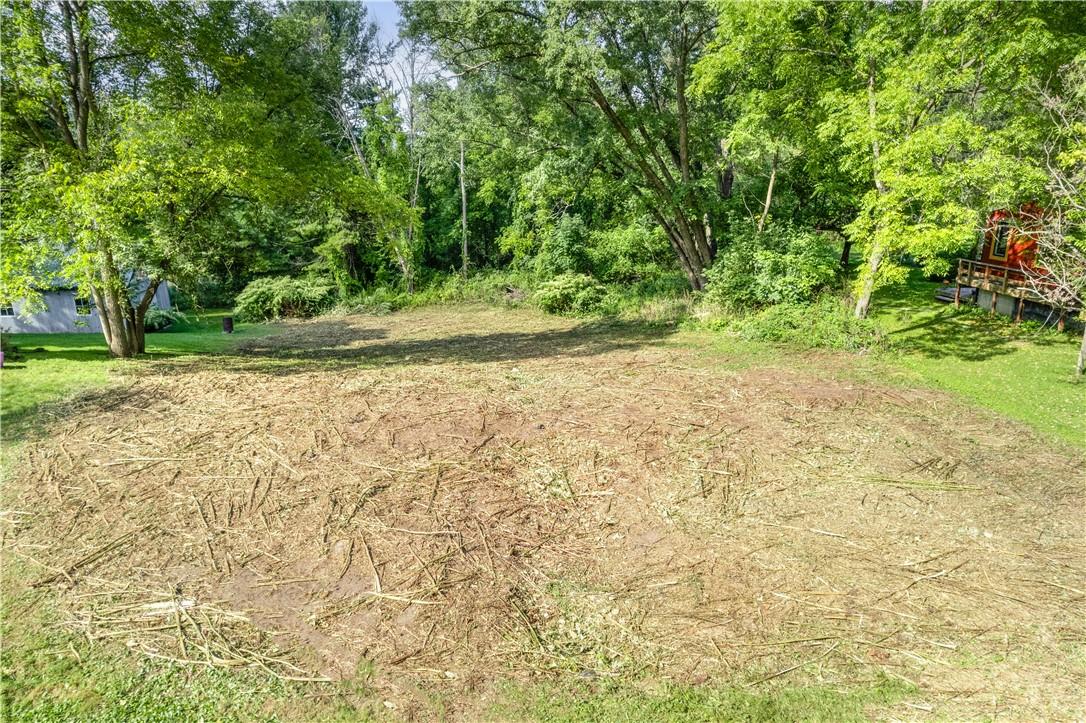 80 Midway Road Amenia, NY 12501 - Photo 13 of 16 a view of a yard with a tree