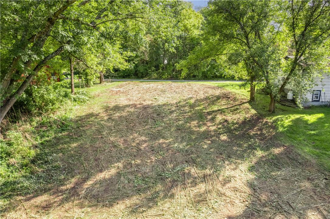 80 Midway Road Amenia, NY 12501 - Photo 14 of 16 a view of yard with trees