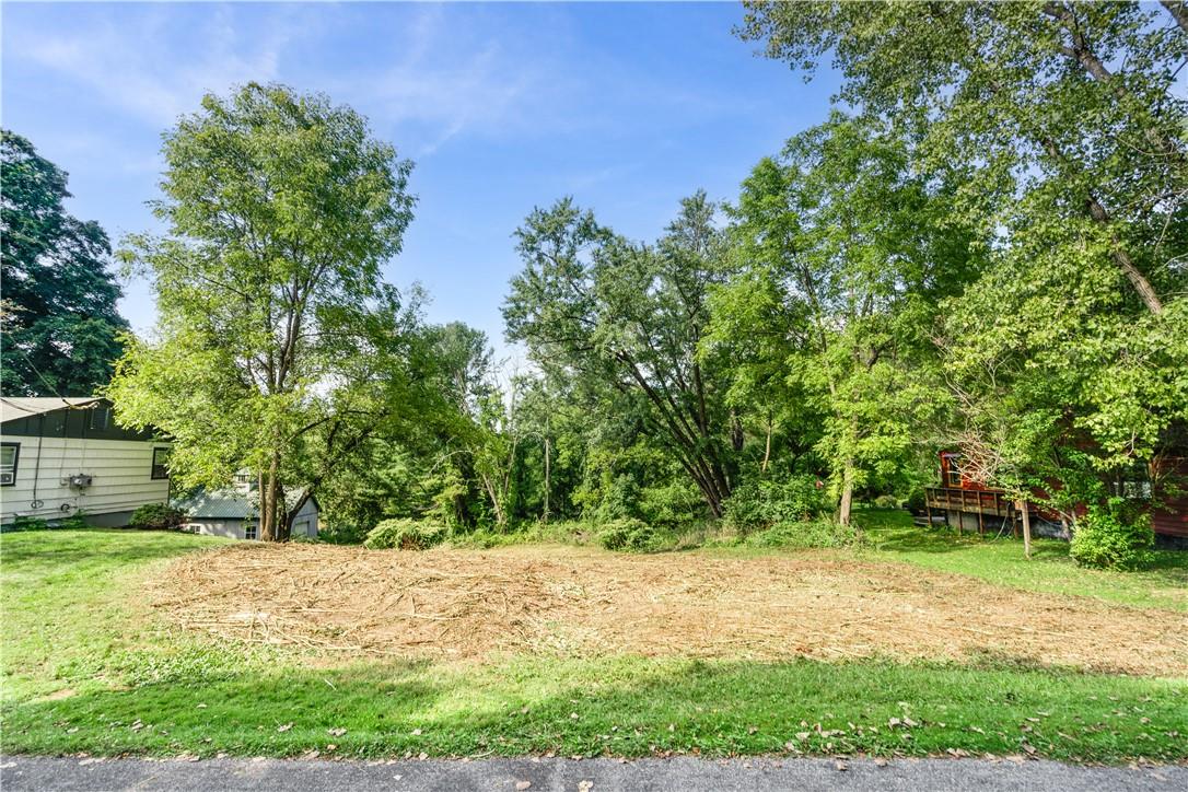 80 Midway Road Amenia, NY 12501 - Photo 15 of 16 a view of backyard with green space