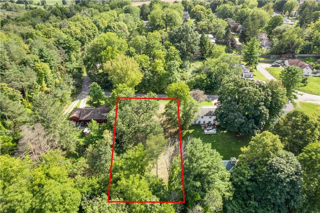 80 Midway Road Amenia, NY 12501 - Photo 2 of 16 a view of a garden