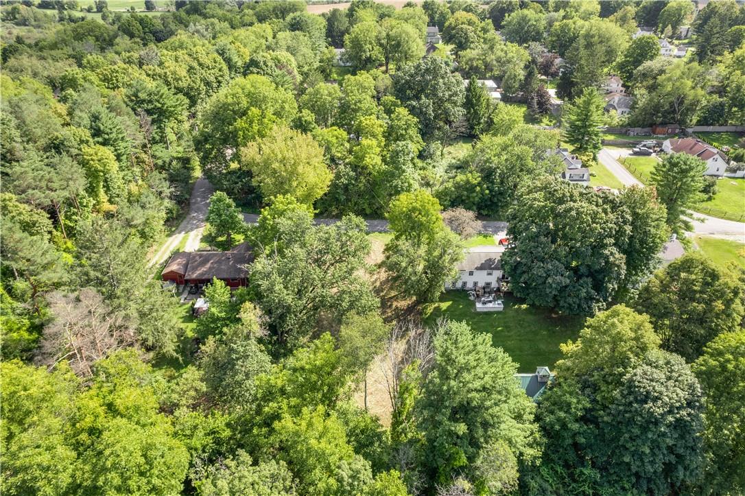 80 Midway Road Amenia, NY 12501 - Photo 4 of 16 a view of a garden with plants