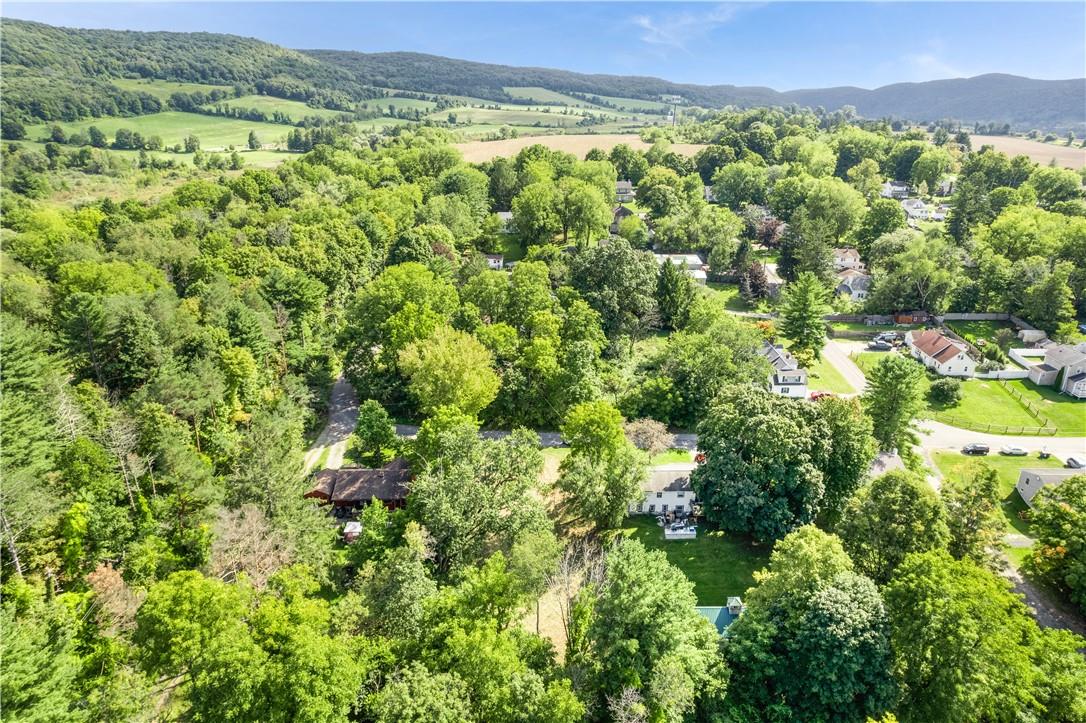 80 Midway Road Amenia, NY 12501 - Photo 5 of 16 a view of a lush green forest with lots of trees