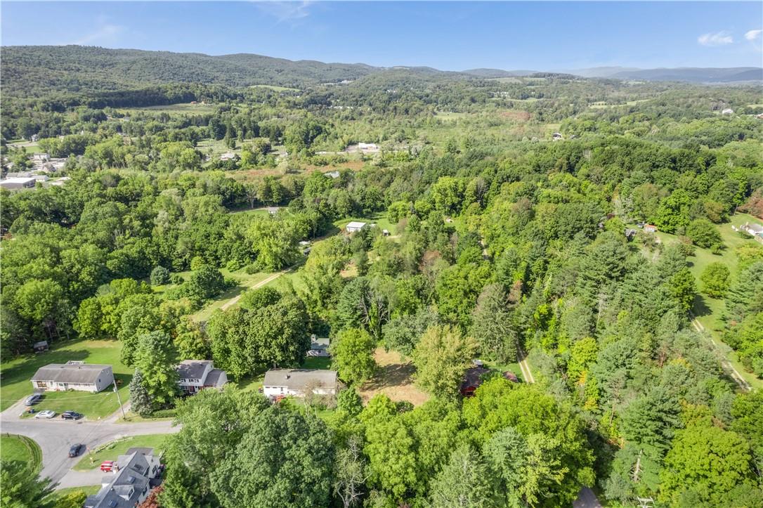 80 Midway Road Amenia, NY 12501 - Photo 9 of 16 a view of a lush green forest with trees and some houses