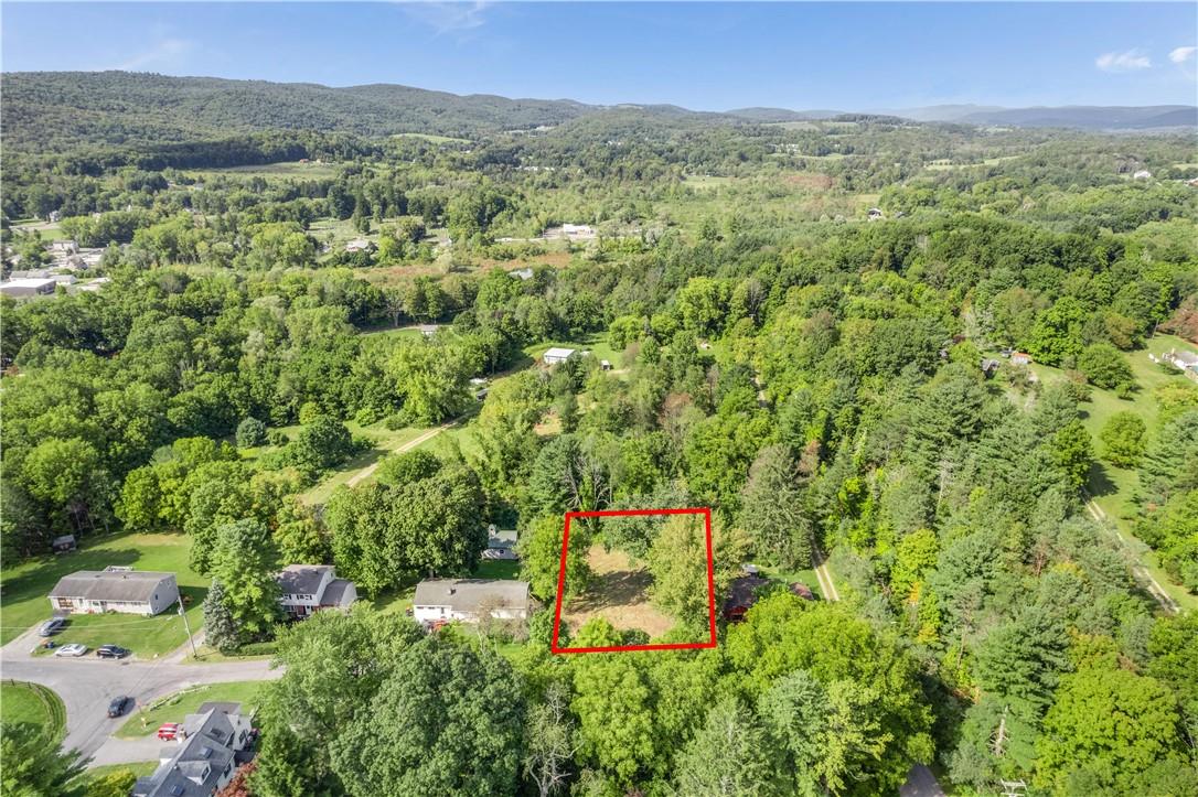 80 Midway Road Amenia, NY 12501 - Photo 10 of 16 a view of a lush green forest with trees and some houses